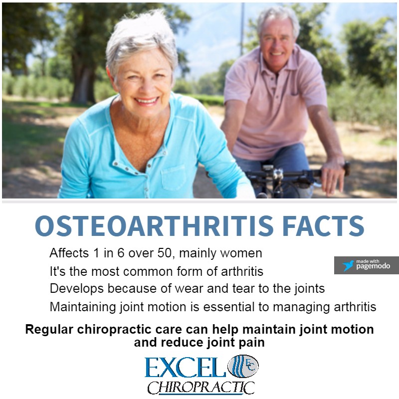 Excel Chiro's Blog Quick Osteoarthritis Facts