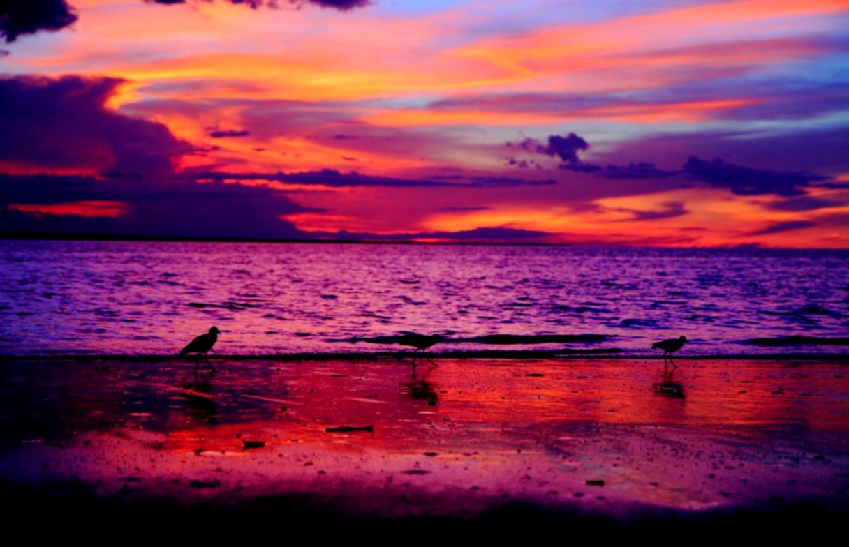 Beautiful Sunsets On The Beach Tumblr