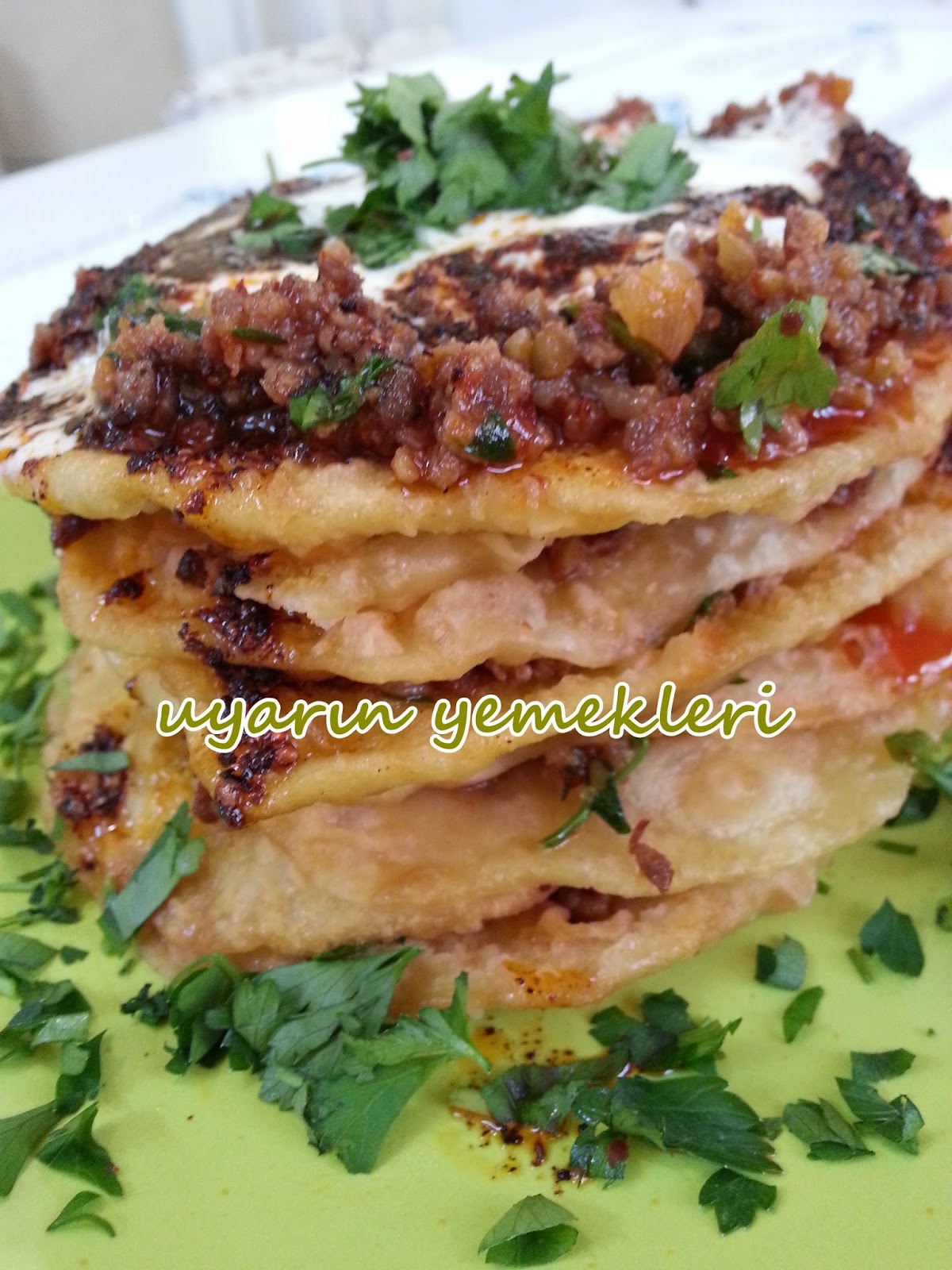 Uyarın Yemekleri Paşa böreği
