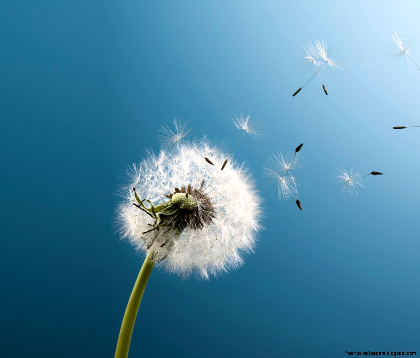 Samsung Galaxy Wallpaper 1BA1   Wallpaper Goo