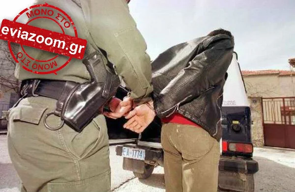 Εύβοια: Συνελήφθη διακινητής μεταναστών στα Πολιτικά!