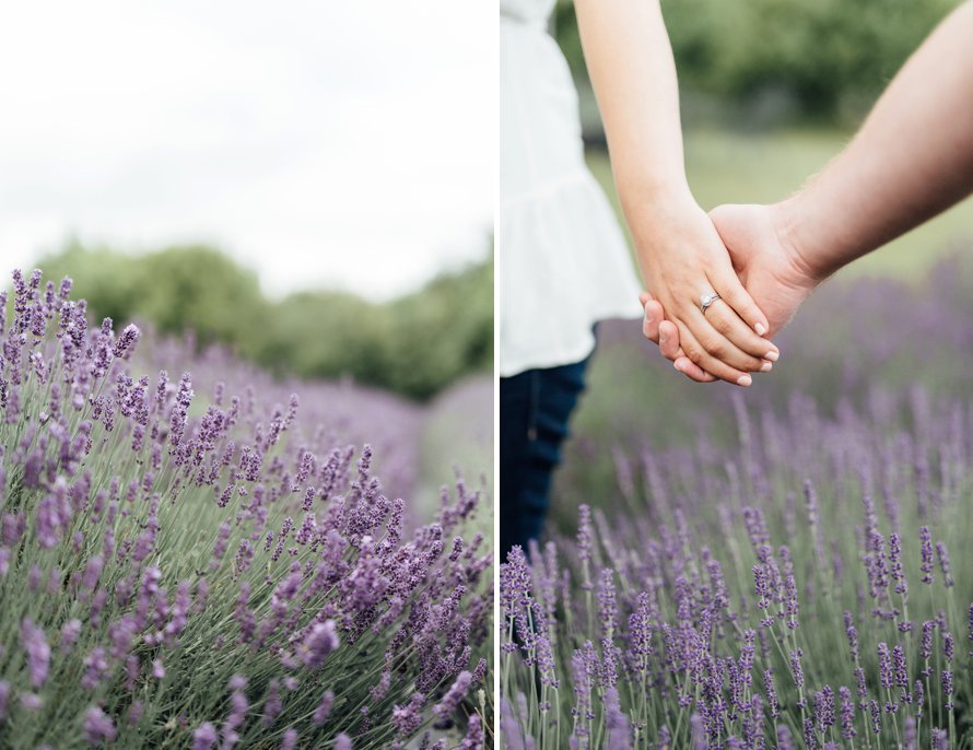 Romantic Lavender Field Maternity Session by Something Minted Photography