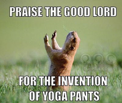 Praise the good lord, yoga pants funny animal meme picture