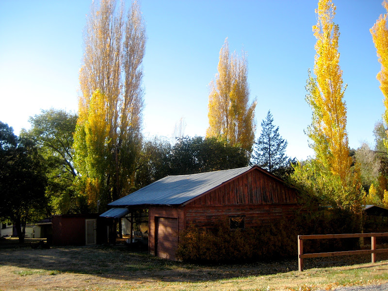 Living Rootless Cloudcroft, NM Karr Canyon and the Mystery of