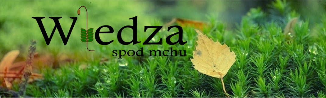 Wiedza spod mchu