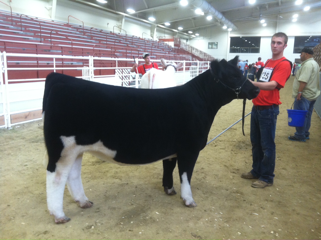 DIAMOND G CATTLE CO. MJ Jr Nationals!!