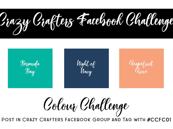 Crazy Crafters Facebook Challenge 01 | #CCFC01 | Highlights