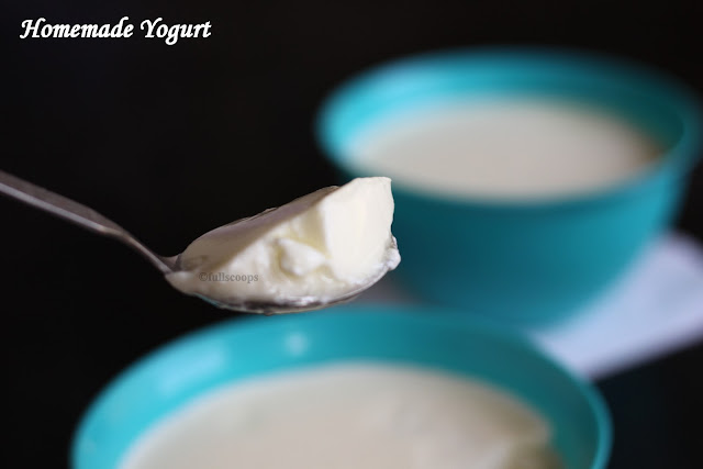 How to make thick curd