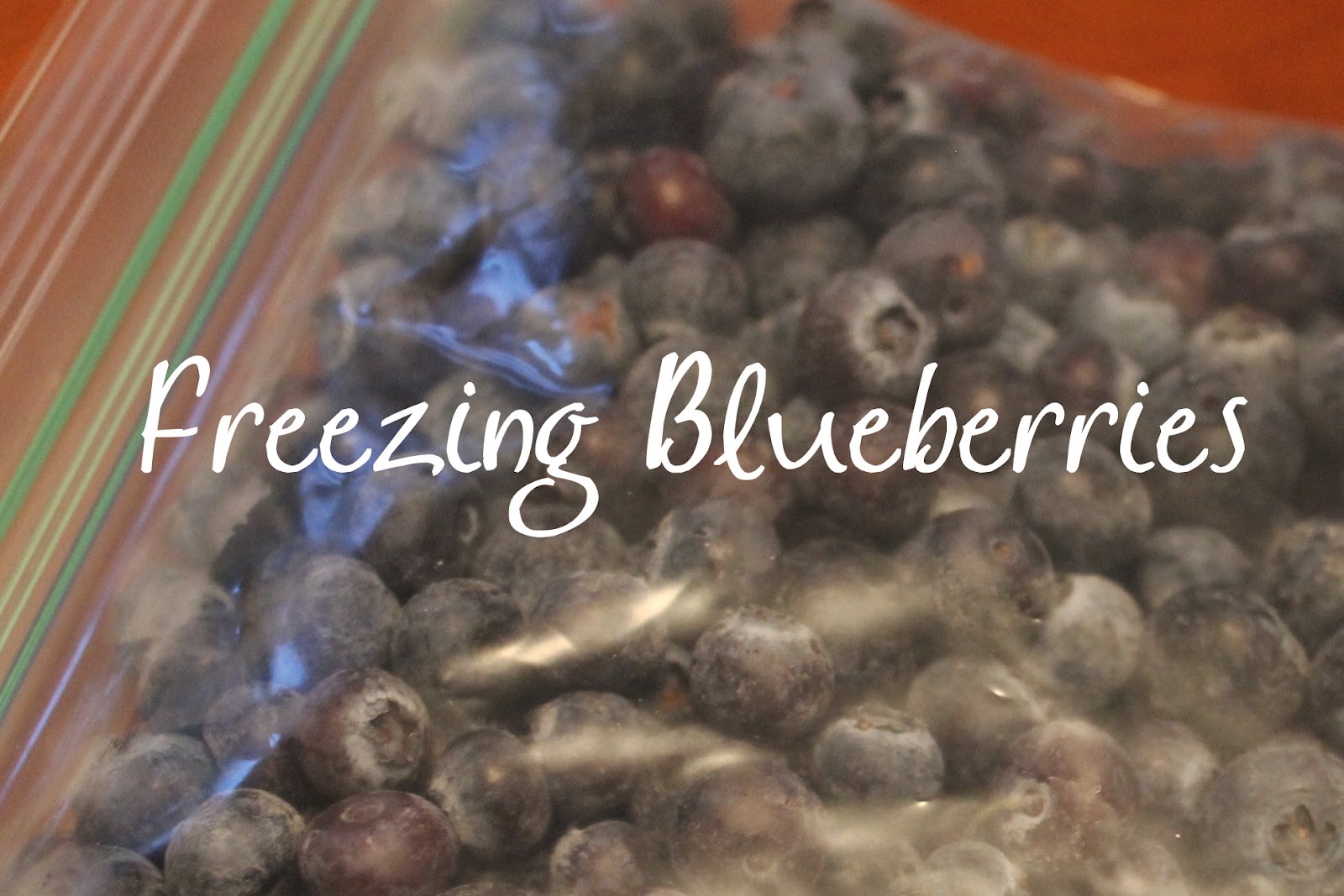 How to Freeze Blueberriesand Other Berries Too! The Purposeful Mom