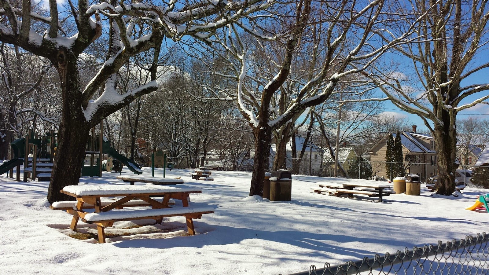 Franklin Matters Sunday's walk in the sunlight after the snow (photo essay)