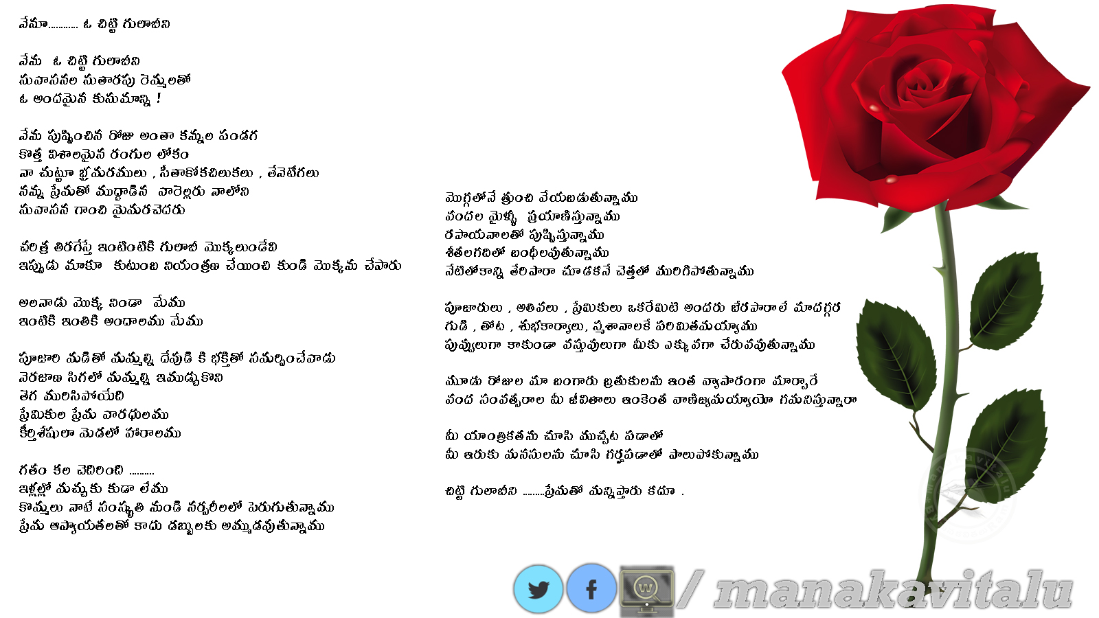 ఓ చిట్టి గులాబి ( QUOTES ON ROSES GULABI PUVVU GADHA TELUGU KAVITHA