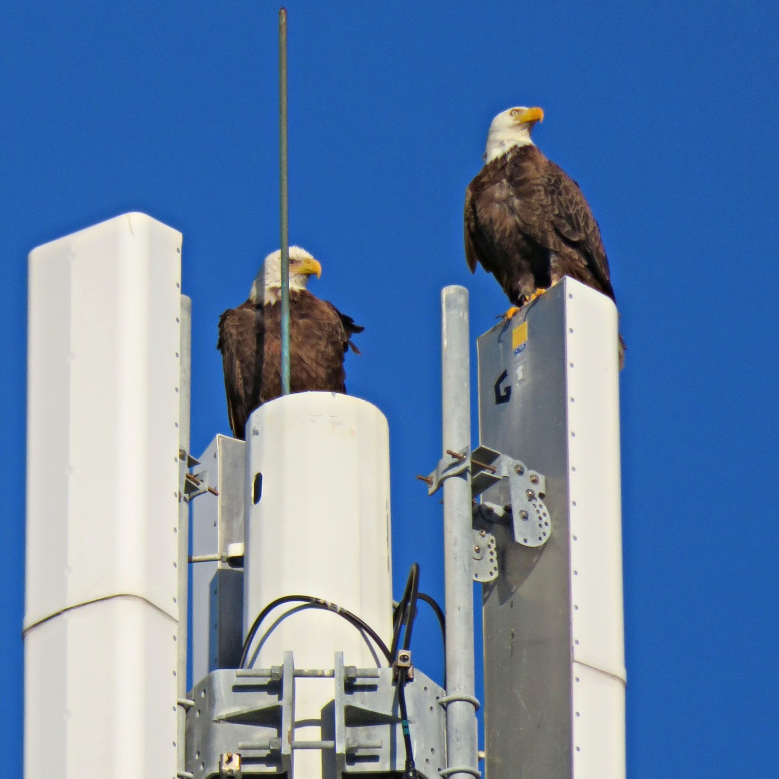 JTWOO What true freedom looks like