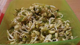 Pahit & Manis Kehidupan....