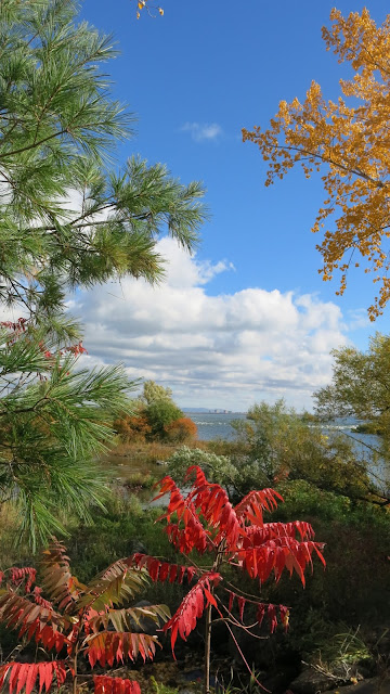 Montréal - Parc des rapides