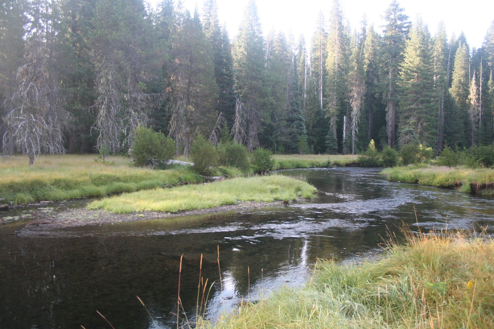 The Five Flies Fishing Club Upper Rogue River (Headwaters)