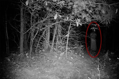 Φαντάσματα