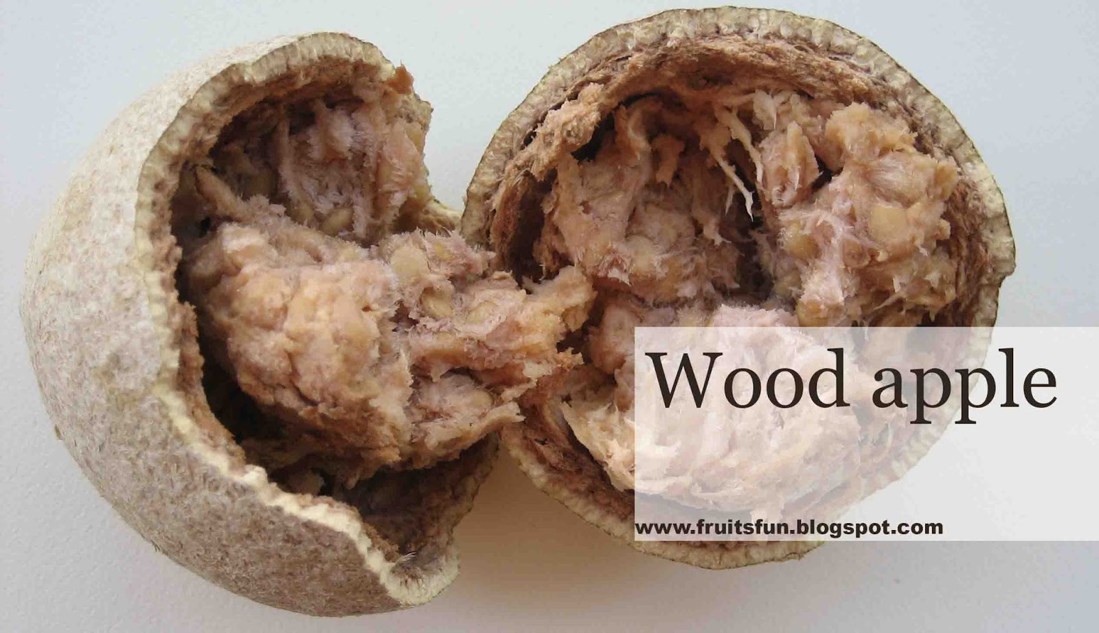 Ever Fresh Fruits February 2016