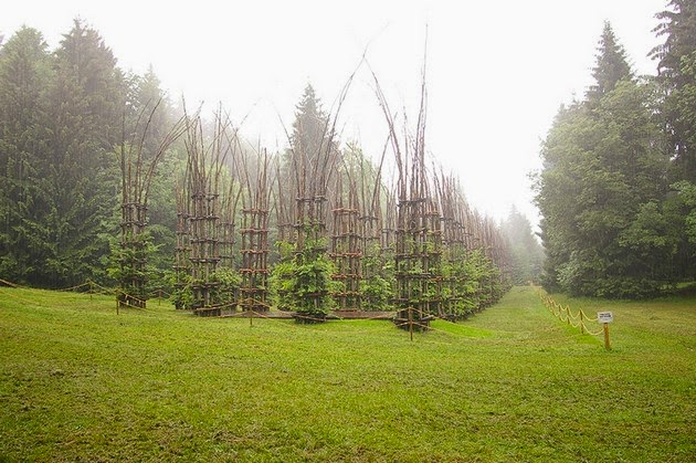 living architecture, living trees