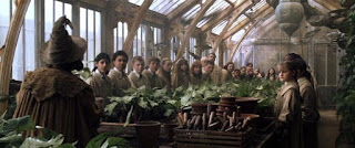Harry Potter. Colegio de Magia y Hechicería. Hogwarts. Invernaderos de Herbología.