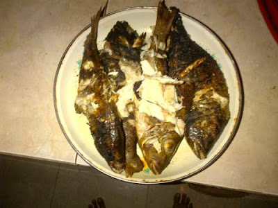 Bolehkah Kucing Makan Ikan Asin, Goreng, Rebus dan Mentah ? - Kumpulan