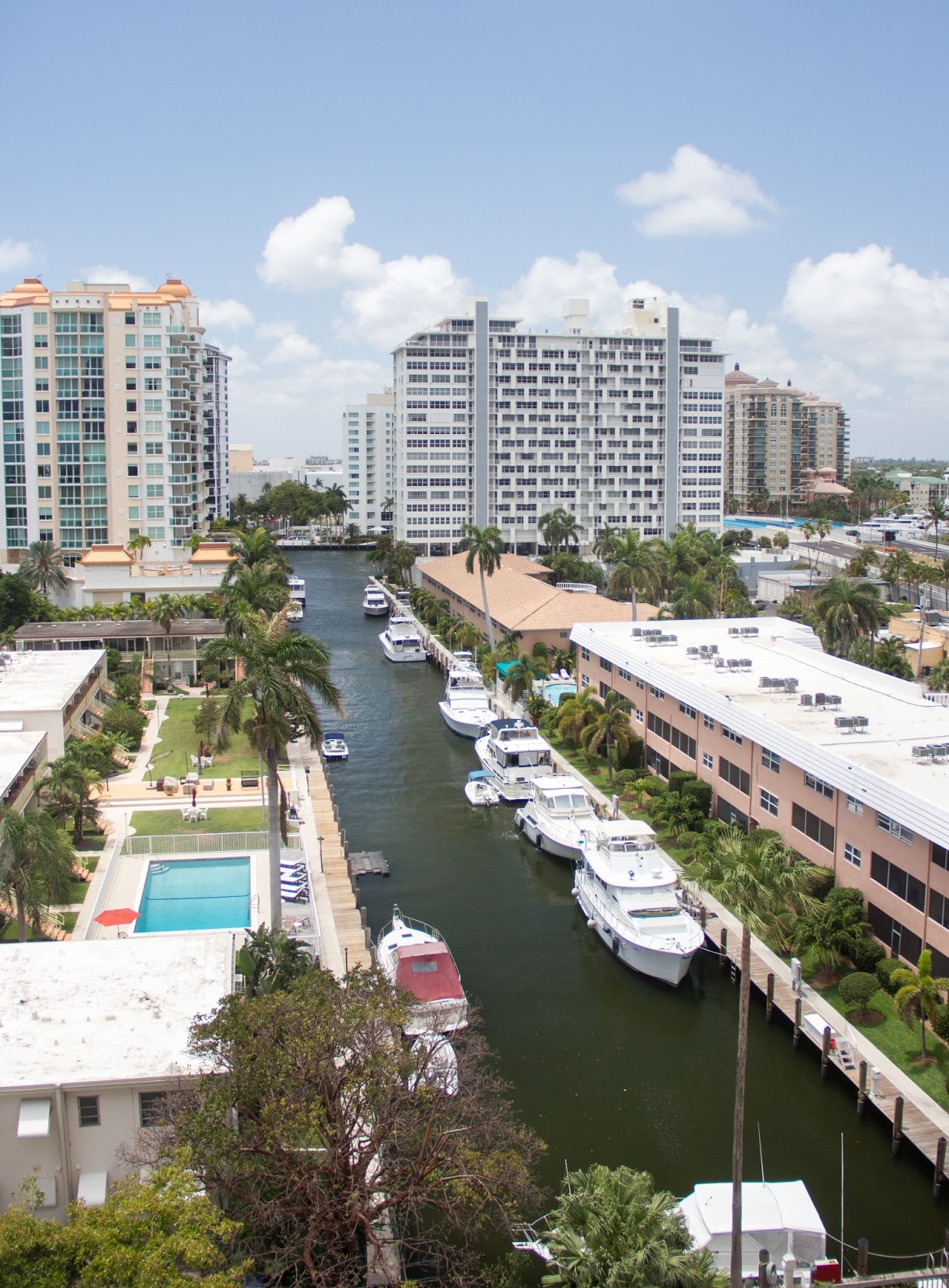 Creative Platform Evening Edition