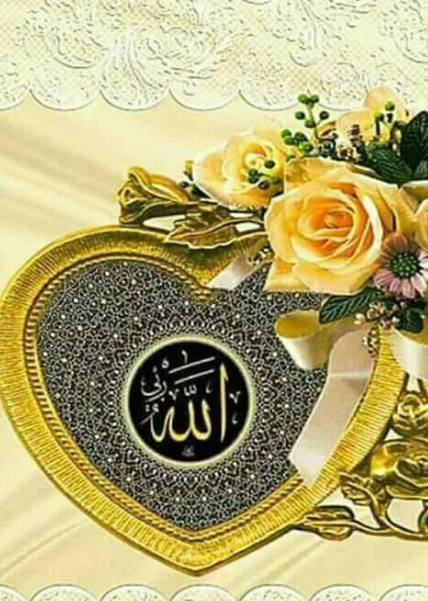 муминат и мухаммад инстаграм