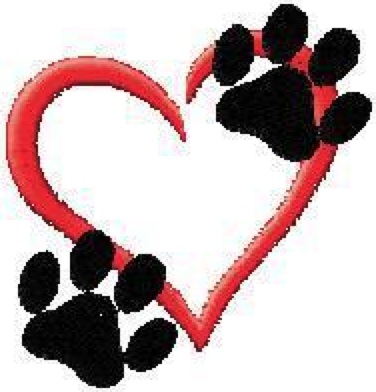 Safe and Loving Dog Boarding for Your Cherished Pet. Full Service Care Phoenix, AZ