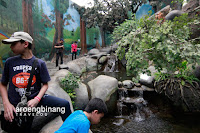 taman akuarium air tawar