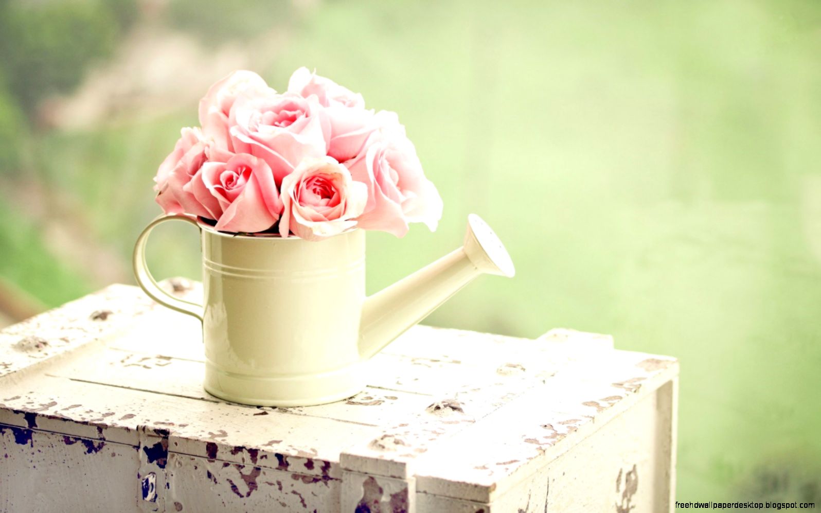 Mood Flowers Watering 6925383