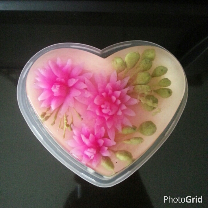 Eunice Home Bake (Klang) 3d flower jelly cake