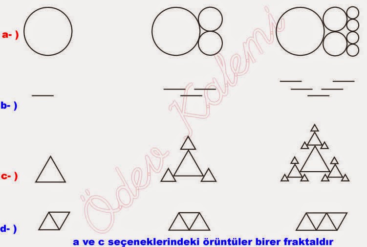 Ücretsiz çiftler İncil çalışması indir.