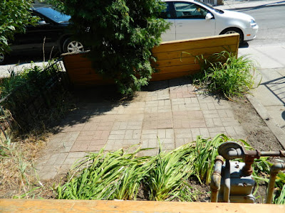 Brockton Village summer garden clean up after by Paul Jung Gardening Services Toronto