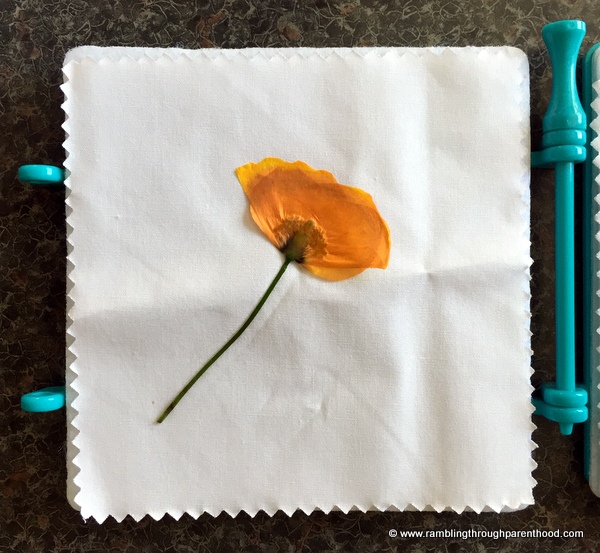 Rambling Through Parenthood Instant Flower Press by Interplay UK