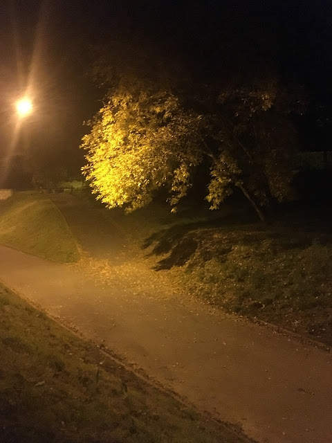 arbre nocturne