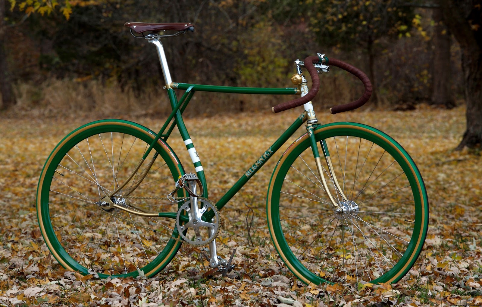 Fixed Gear Bike