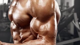 Biceps Not Growing? TRY THIS
