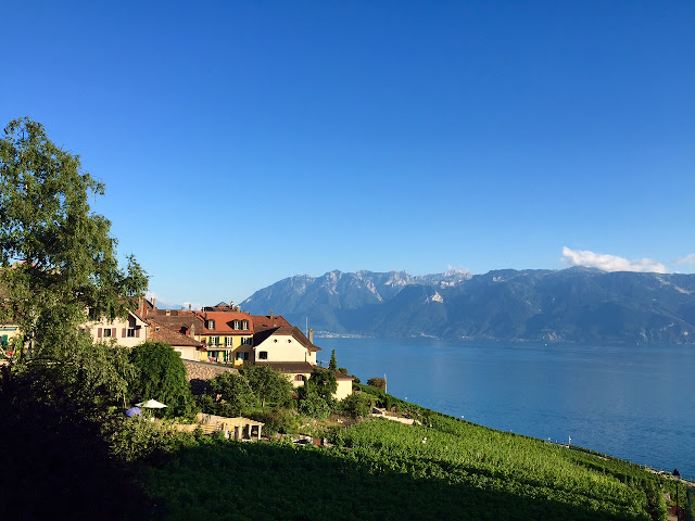 Lavaux Vineyard Terraces Switzerland 
