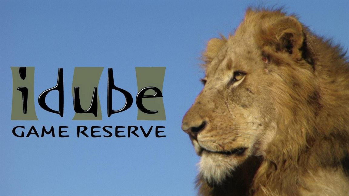Idube Game Reserve