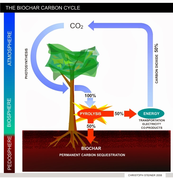 Biomass Industrial Innovative Projects Carbon Positive, Carbon Carbon