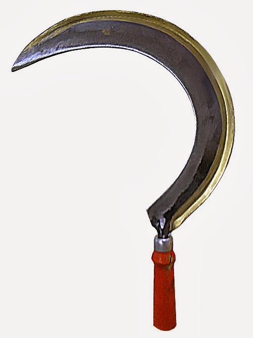 Araştırma Ödevim 2013