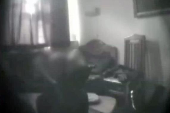 Showcaseit Russian Mafia Boss Caught On Camera Having Sex With Human
