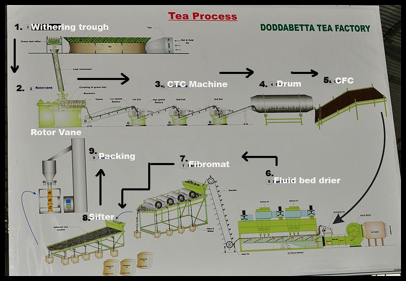 Arjun Haarith Process of Manufacturing of Tea Powder