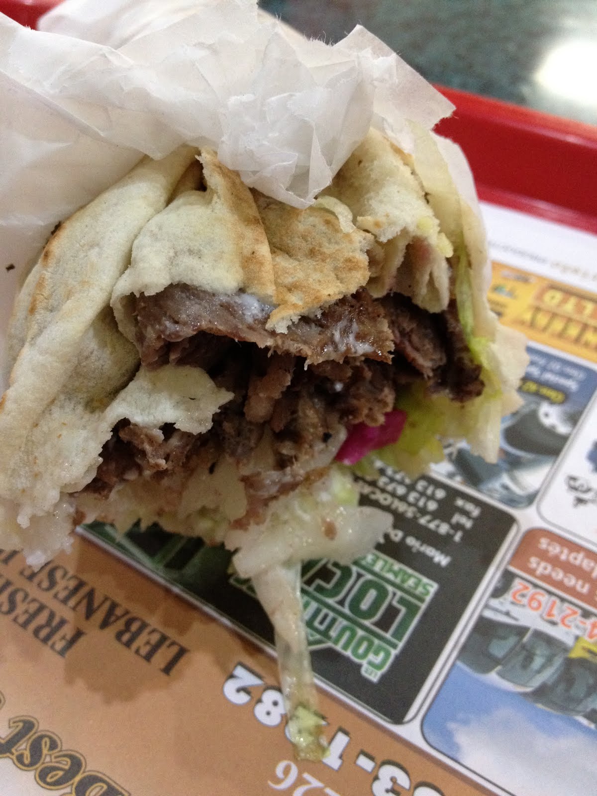PIG OUT SPOTS Shawarma King (Ottawa, ON)