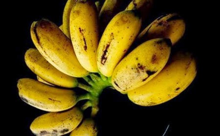 http://www.altairgate.com/2022/12/menanam-pohon-pisang-mas.html