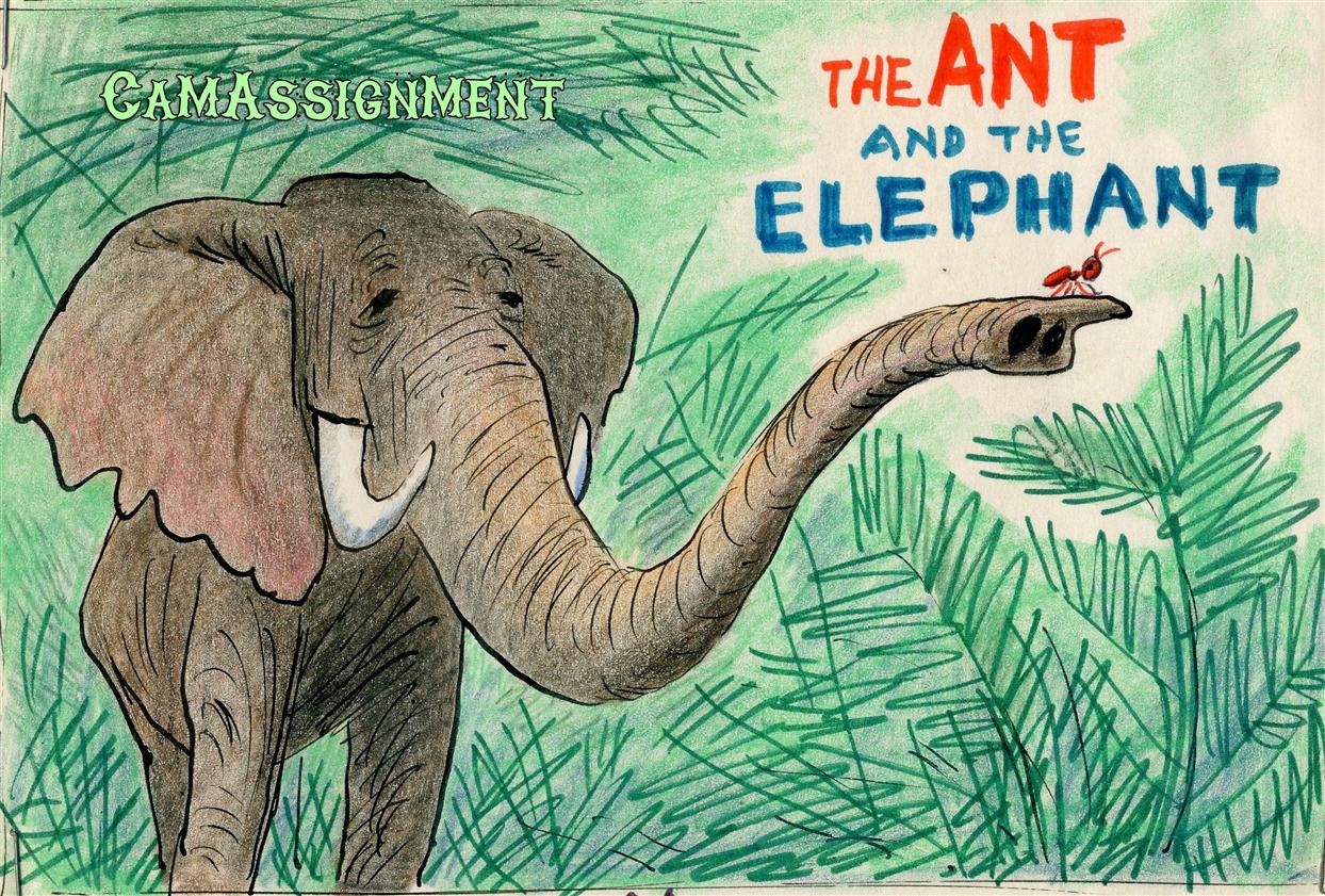 math For Cambodia The Elephant and the Ant Summary
