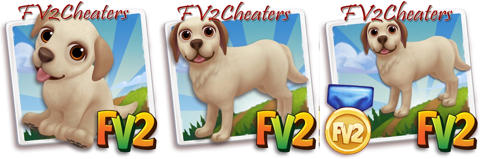 Farmville 2 Cheaters Farmville 2 Cheat Code For Golden Labrador Puppy