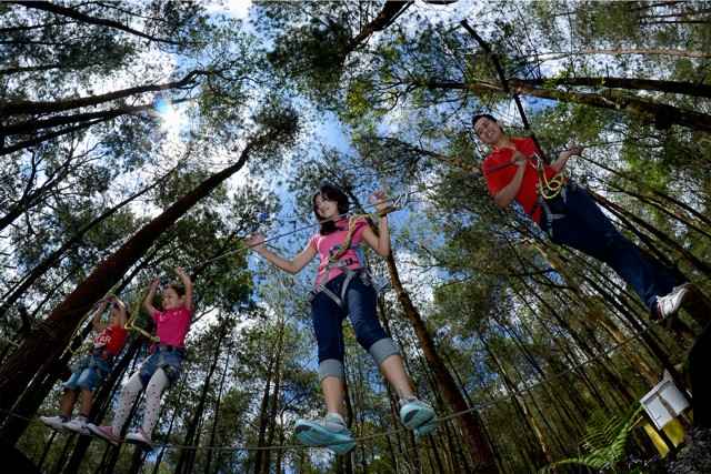 Harga Tiket Masuk Dan Rute Lokasi Kopeng Treetop Adventure Park Getasan Semarang