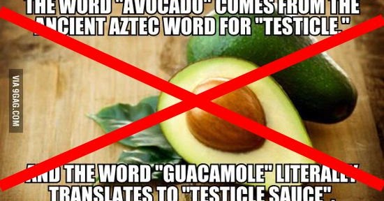 Why is Avocado called cow oil fruit?