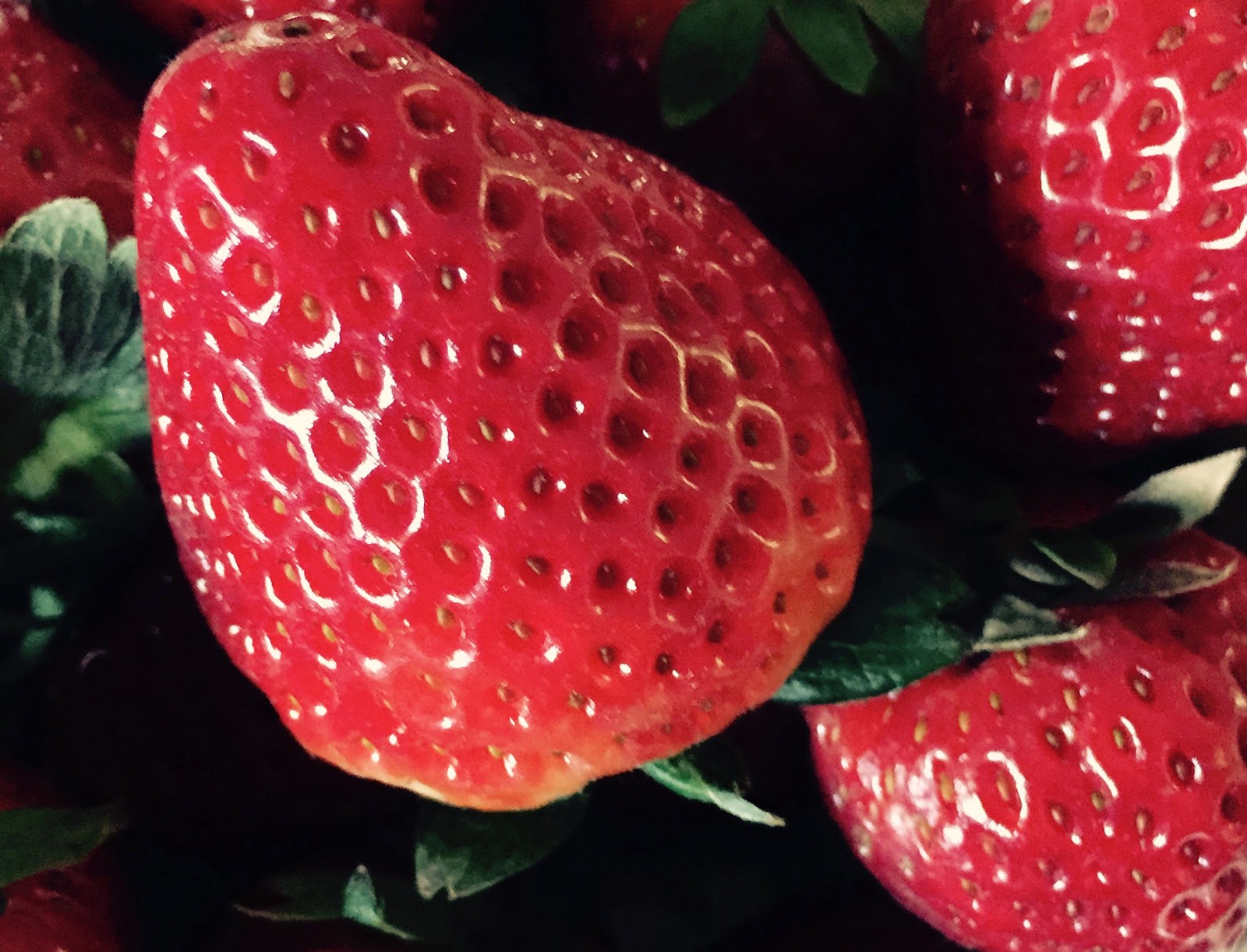 German Girl Art Lessons learned in a strawberry patch