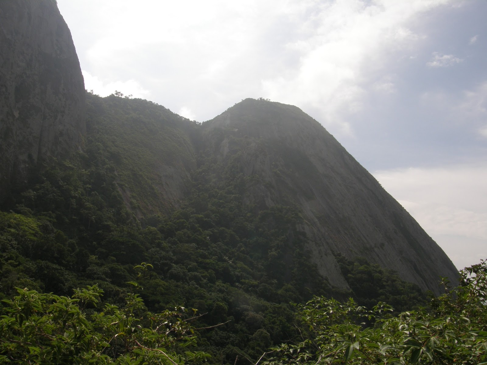 BIOFLAGRANTES* PARQUE ESTADUAL SERRA DA TIRIRICA BIOMA FLORESTA ATLÂNTICA
